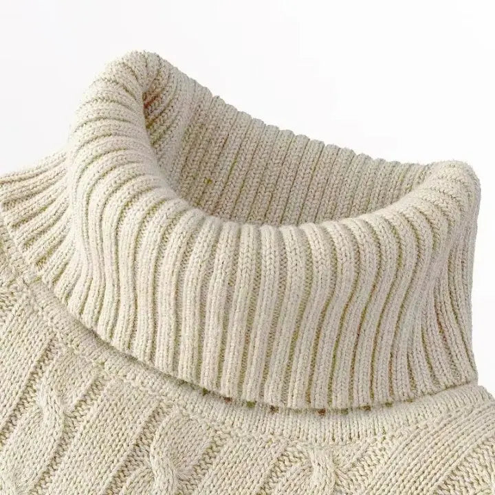Casual Solid Cable-knit Turtleneck Sweater