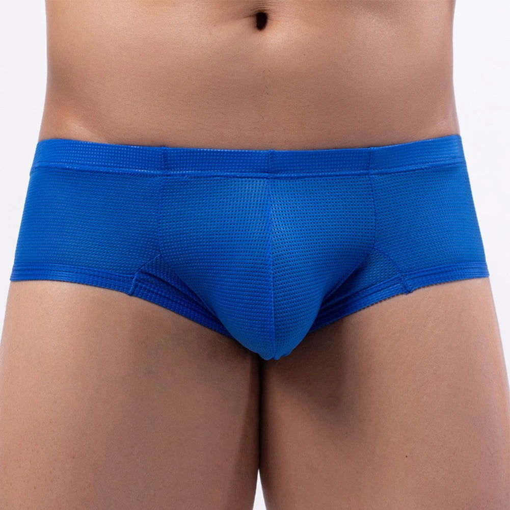 Sexy Low Waist U-Pouch Briefs