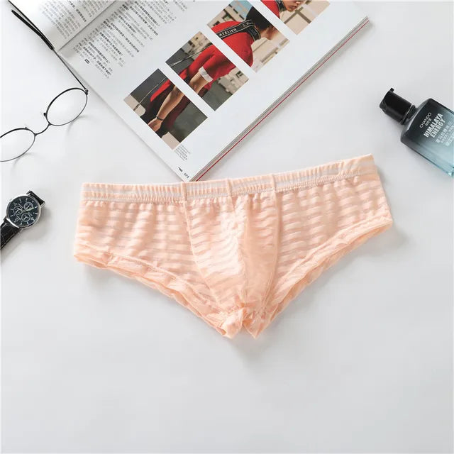 Low Waisted Quick Dry Transparent Brief