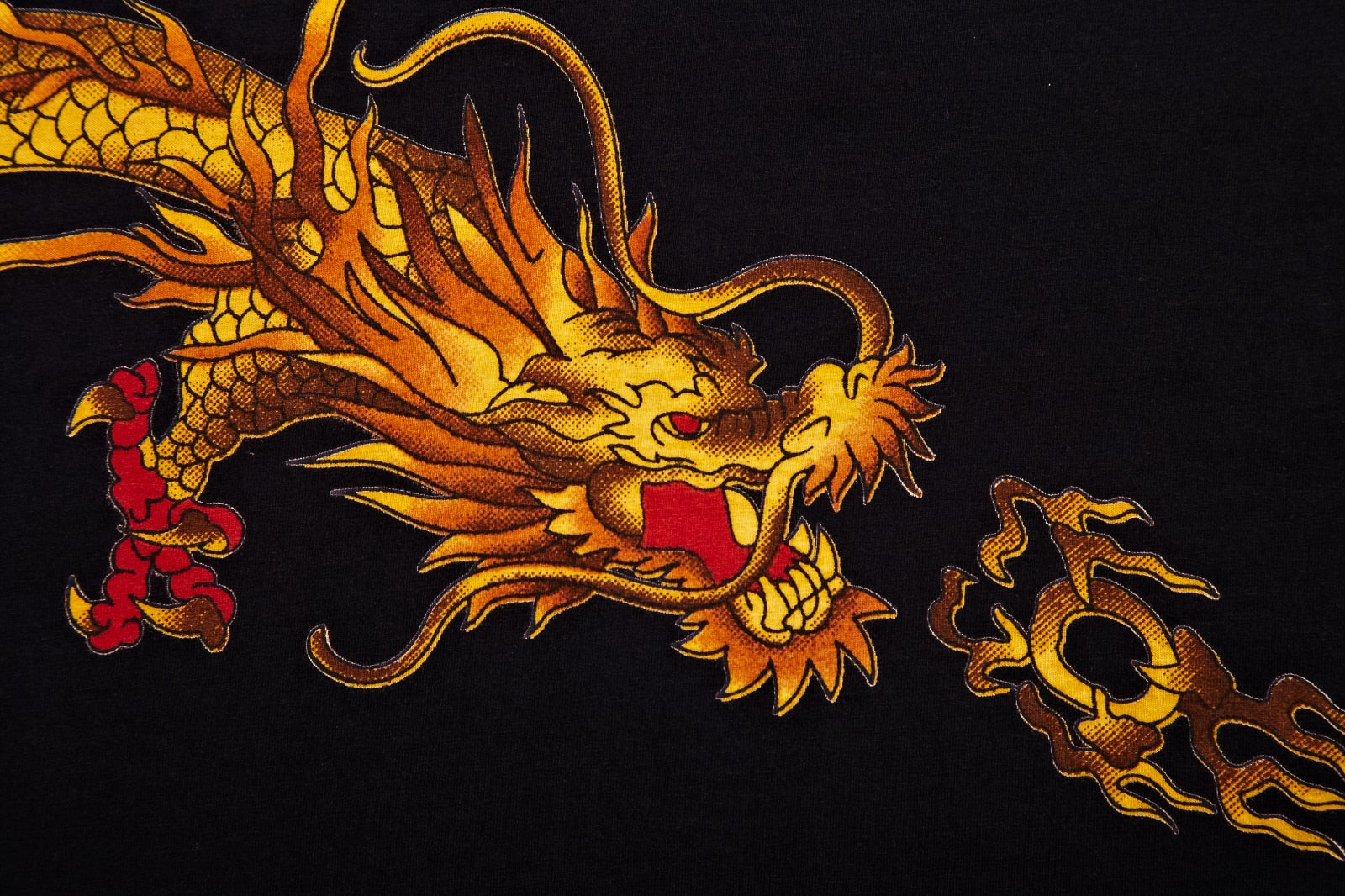 Dragon Printed O-Neck T-Shirt