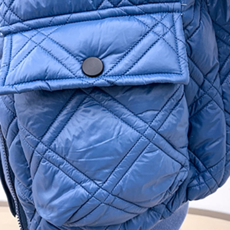 Silver Skin Padded Hoodie Jacket