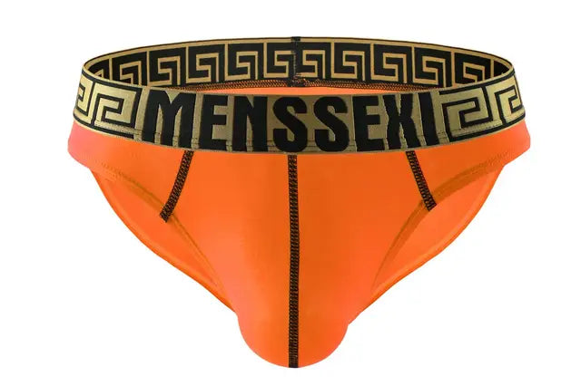 Low Waist Underwear Breathable Brief