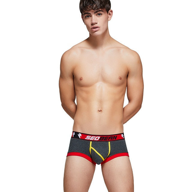 Solid Multi-Color Striped Man Boxers