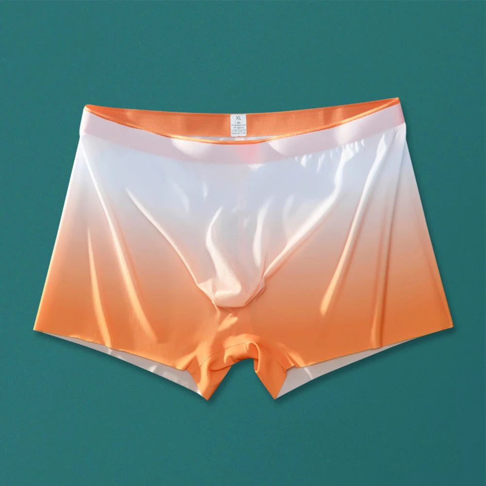 Sheer Breathable Gradient Color Boxer