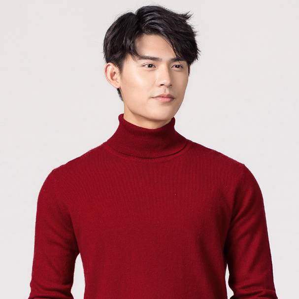 Turtleneck Long Sleeve Cashmere Sweater