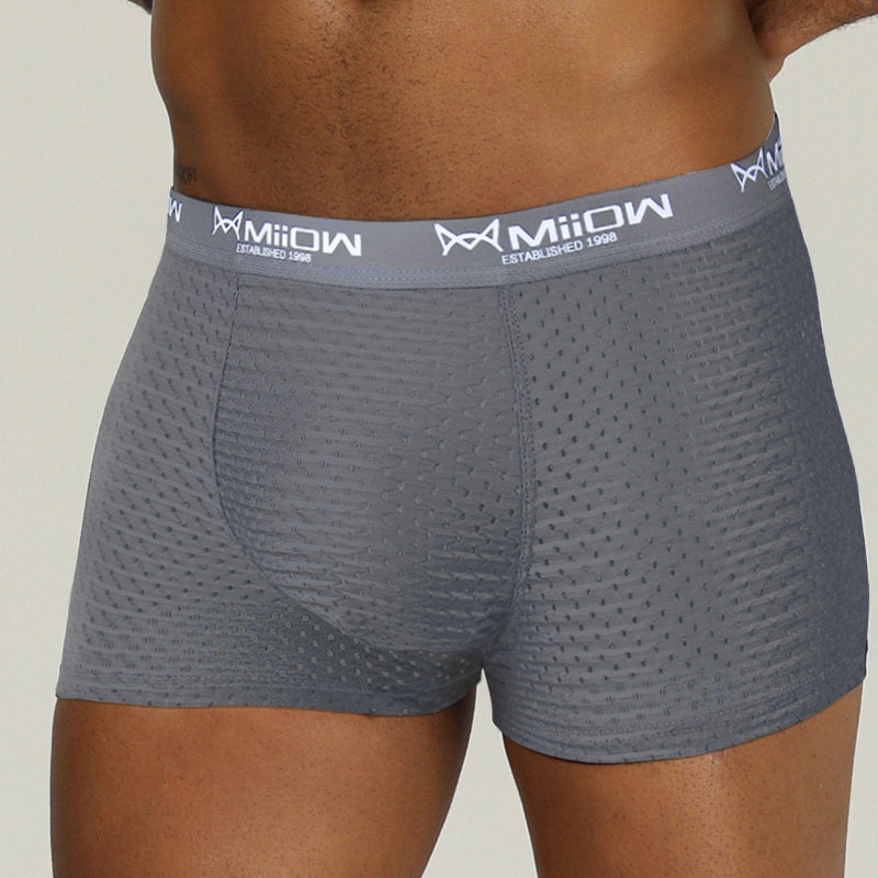 Mesh Breathable Polyester Boxer