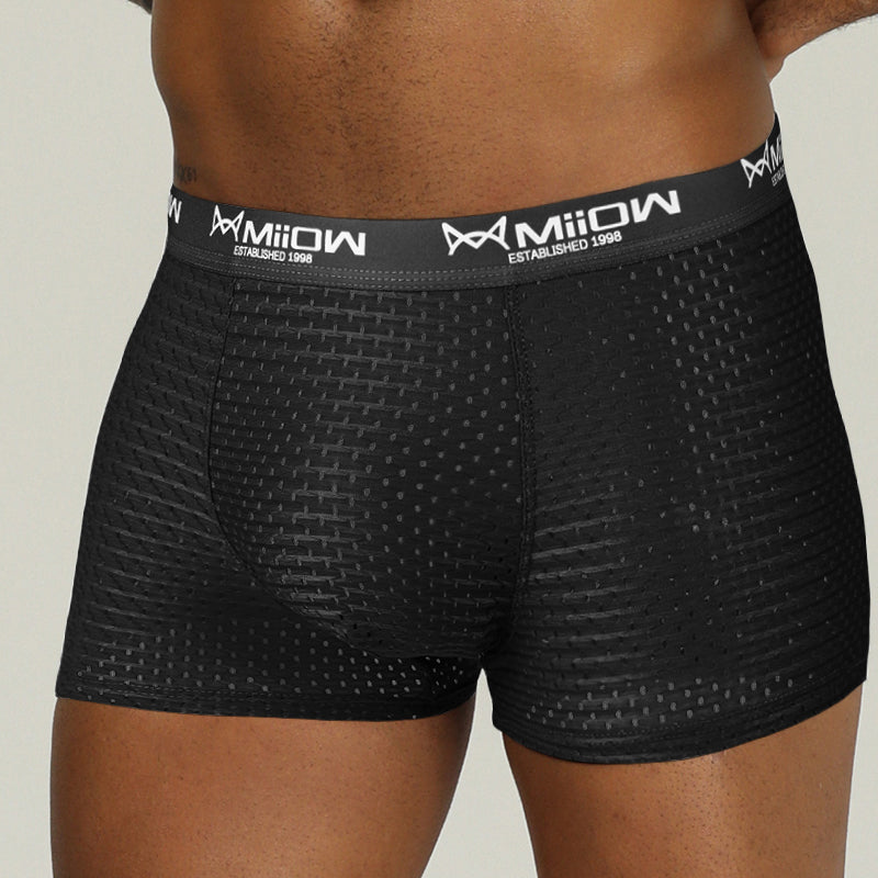 Mesh Breathable Polyester Boxer