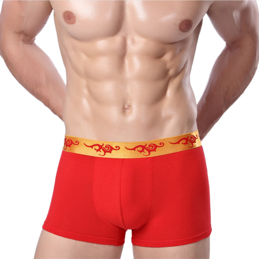 Rosso Corsa Rome Printed Boxer