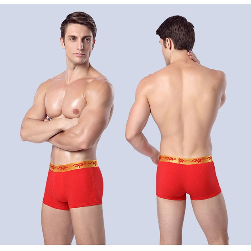 Rosso Corsa Rome Printed Boxer