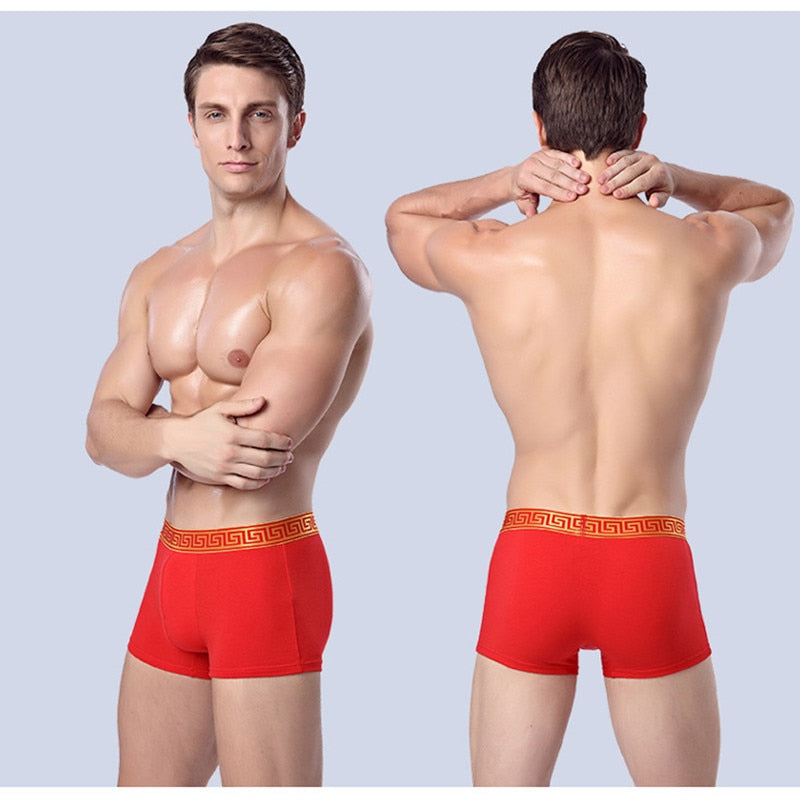 Rosso Corsa Rome Printed Boxer