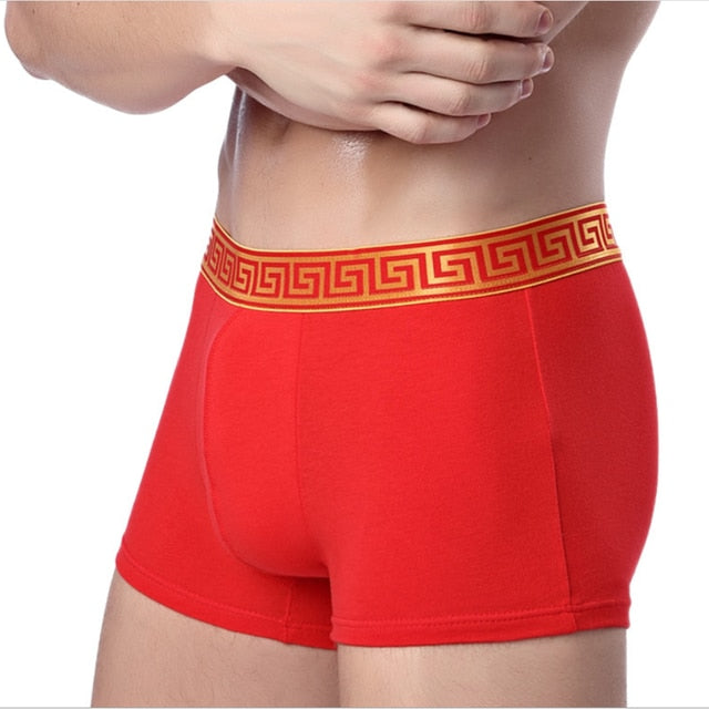 Rosso Corsa Rome Printed Boxer